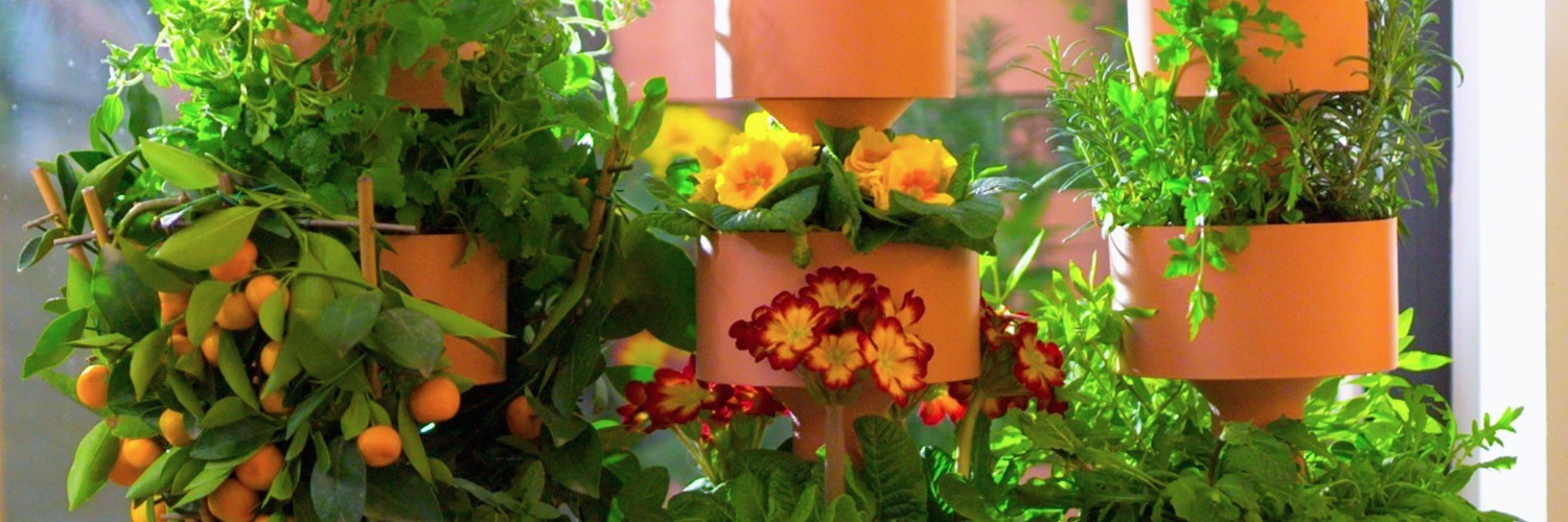 Plant additional view